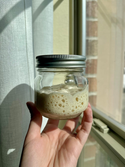 Active sourdough starter