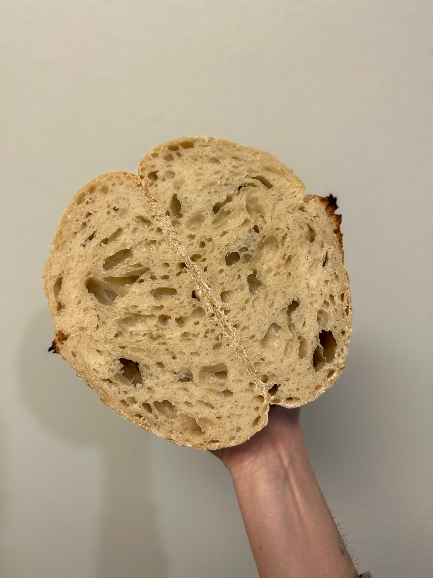 Plain Sourdough Loaf